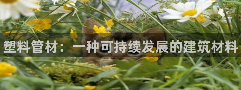 天辰平台娱乐