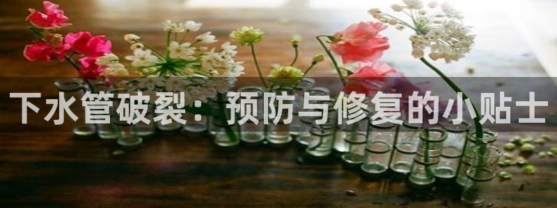 天辰娱乐 728567