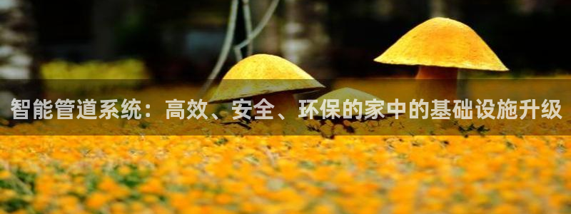 天辰娱乐 39974