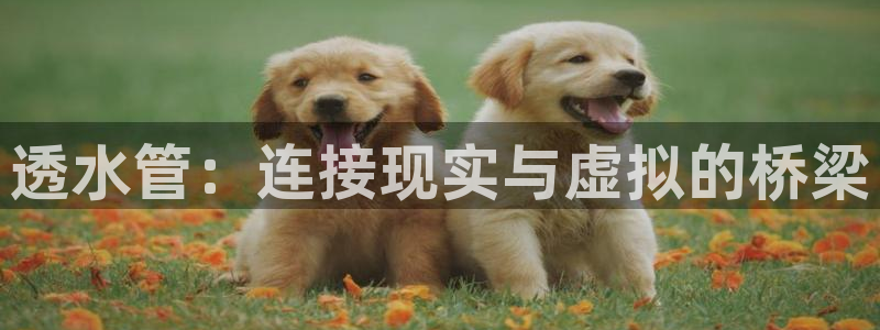 天辰娱乐信誉