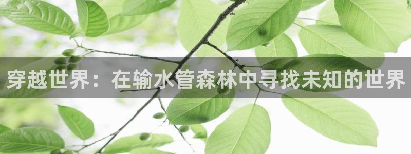 天辰娱乐小姐