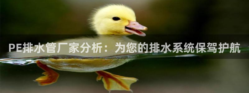 天辰娱乐跑的快