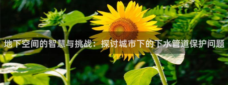 哈尔滨天辰娱乐