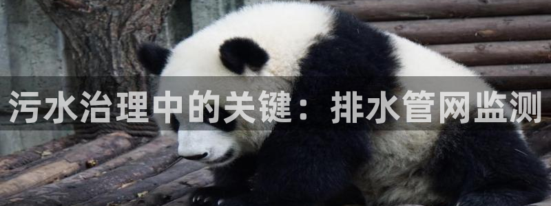 天辰娱乐51137