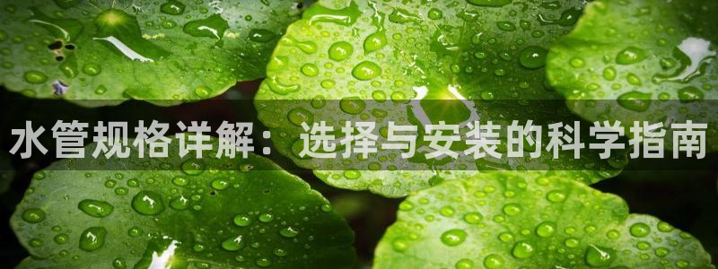 天辰娱乐APP下载
