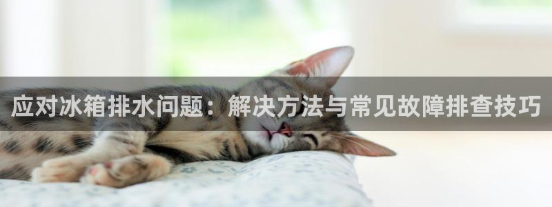 天辰娱乐招商