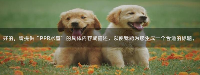 辰天娱乐