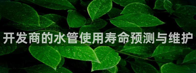 天辰娱乐文化