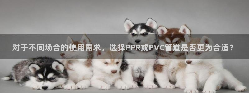 天辰娱乐跑的快