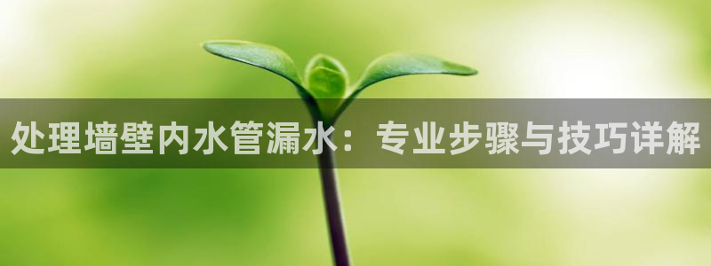 天辰娱乐平台安全吗