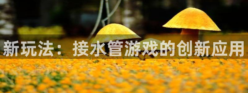 天辰娱乐厕所