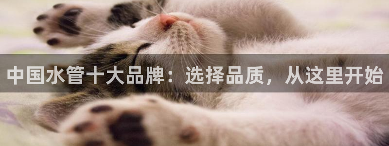 天辰娱乐总管年薪