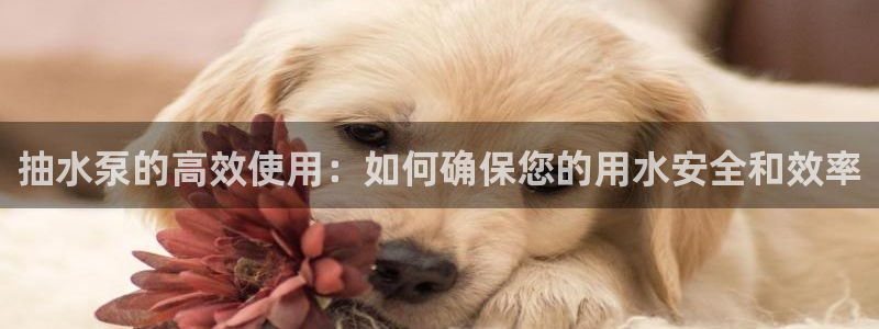 天辰娱乐白屏