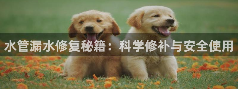 天辰娱乐平台地址在哪里