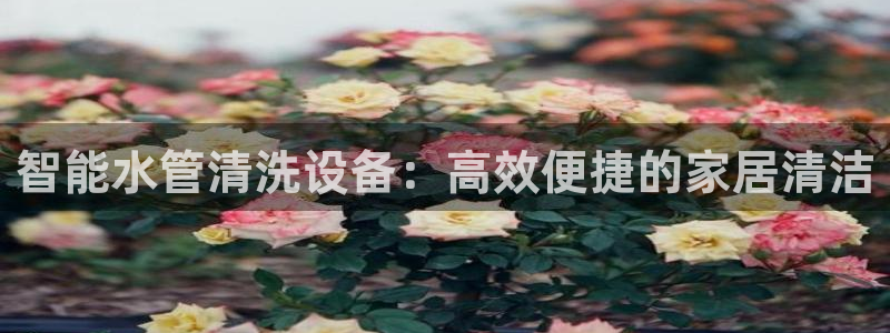 天辰娱乐-18113