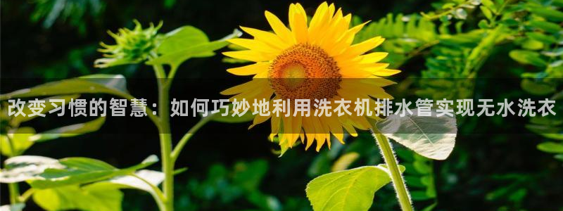 天辰娱乐平台测速