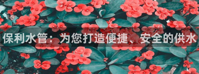 天辰娱乐平台娱乐注册