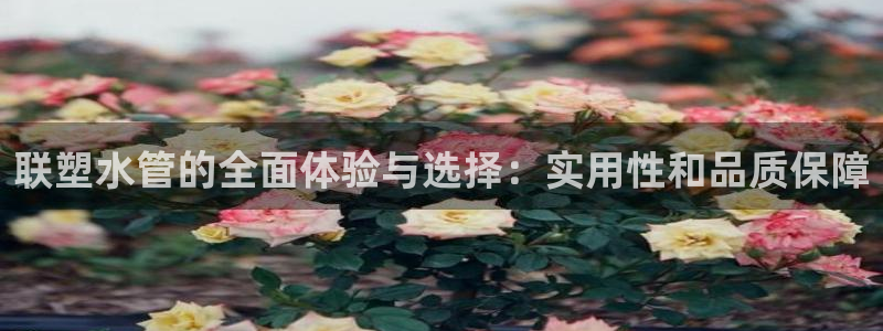 天辰娱乐待遇