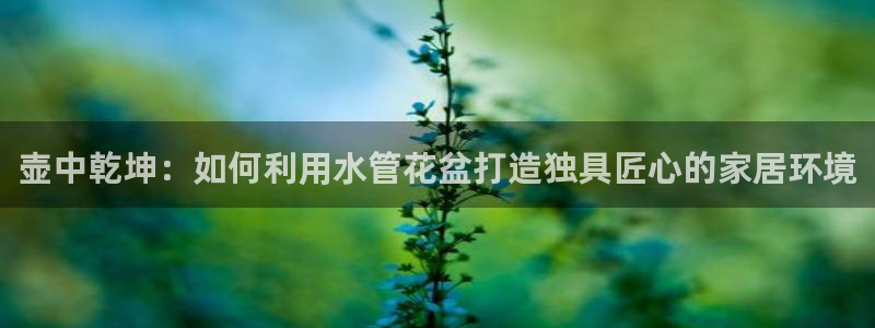 天辰娱乐53551