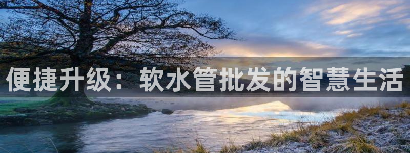 广东天辰娱乐