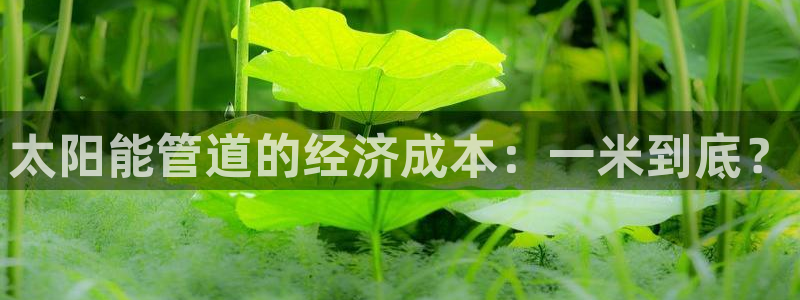 天辰娱乐总管年薪