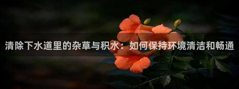 天辰娱乐平台登录账号