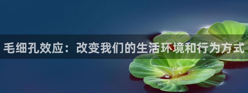 天辰娱乐 qq