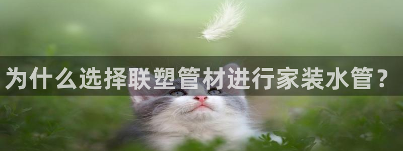 天辰娱乐平台登录账号