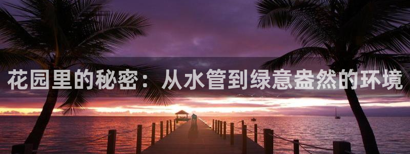 天辰娱乐总管年薪