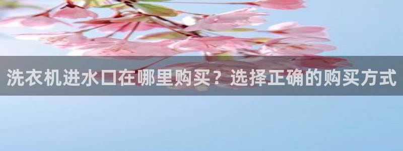 天辰娱乐481928