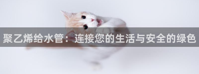 天辰娱乐天辰宝