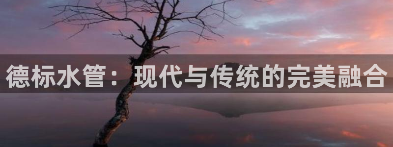 天辰娱乐平台地址
