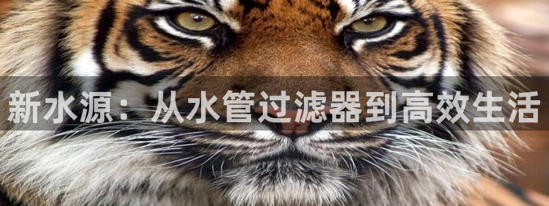 天辰娱乐测试
