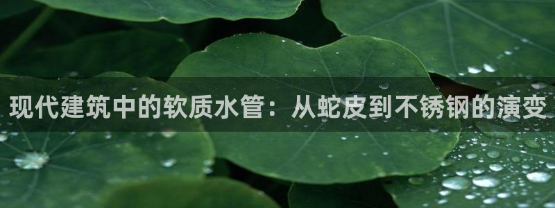 天辰娱乐主管