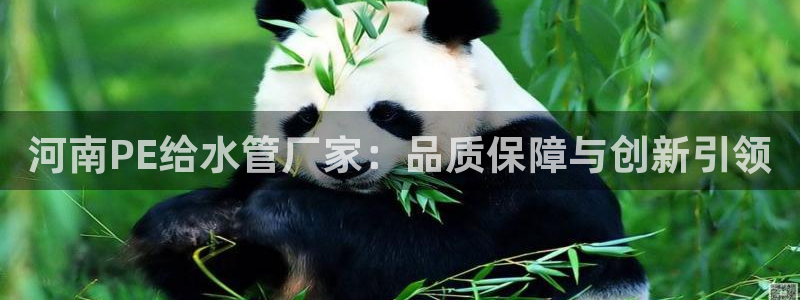 天辰娱乐51137