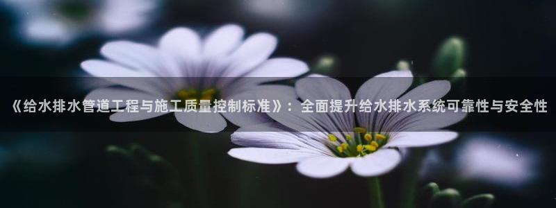 天辰娱乐所