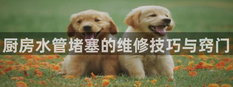 天辰娱乐彩票