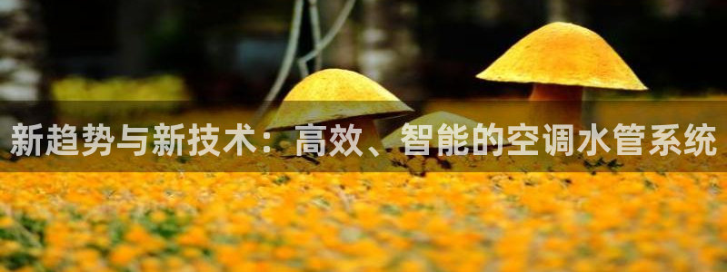 天辰娱乐欢乐