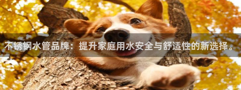 天辰在线娱乐
