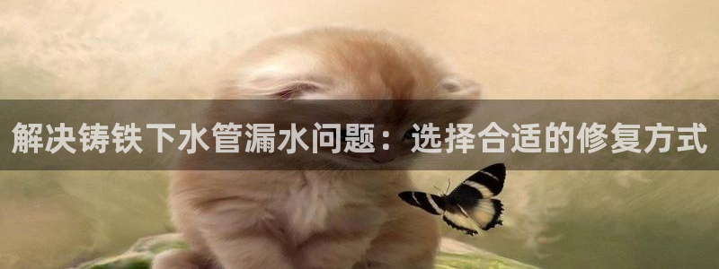 天辰娱乐十分彩