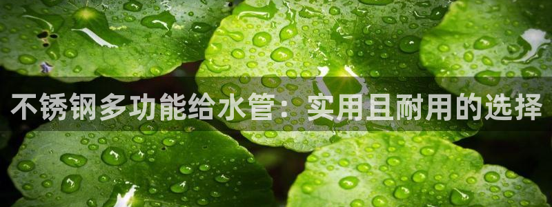 天辰娱乐957807