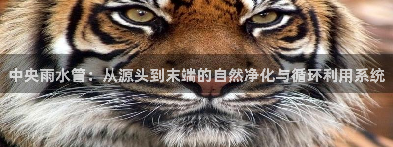 天辰娱乐解封