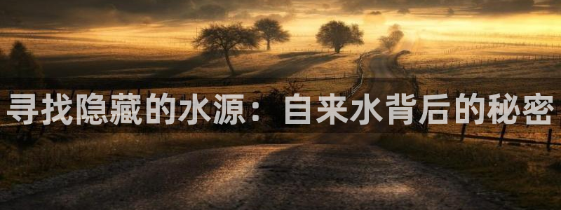 天辰娱乐平台注册