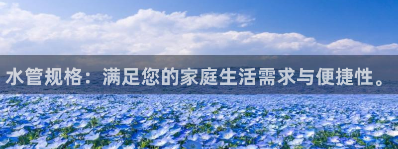 天辰娱乐1956
