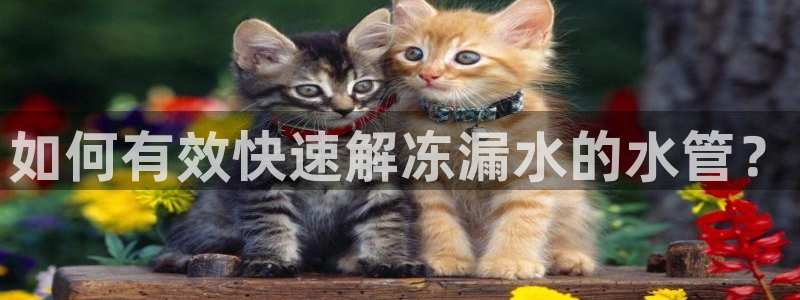 天富娱乐与天辰娱乐