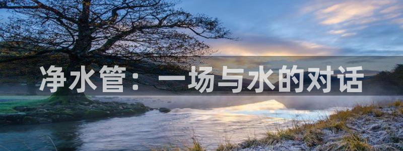 深圳天辰娱乐