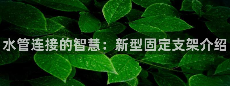 辰天娱乐