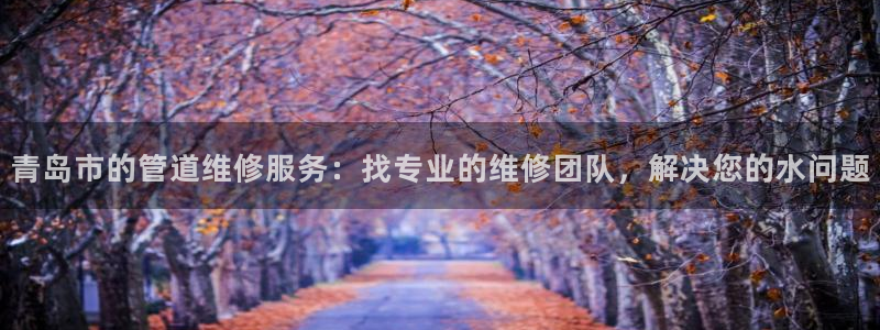 深圳天辰娱乐