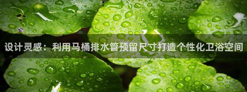 天辰娱乐675138