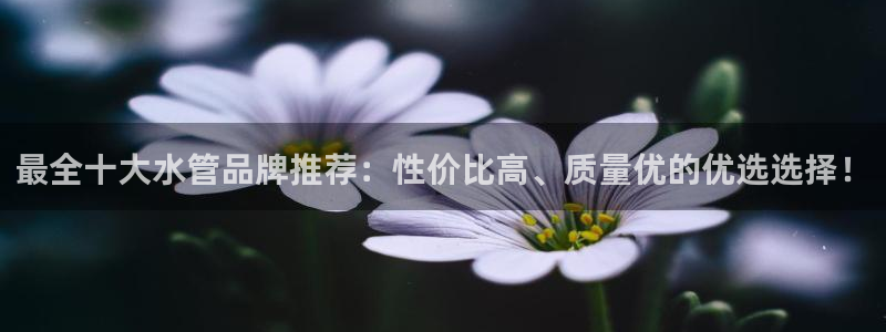 天辰娱乐下载链接